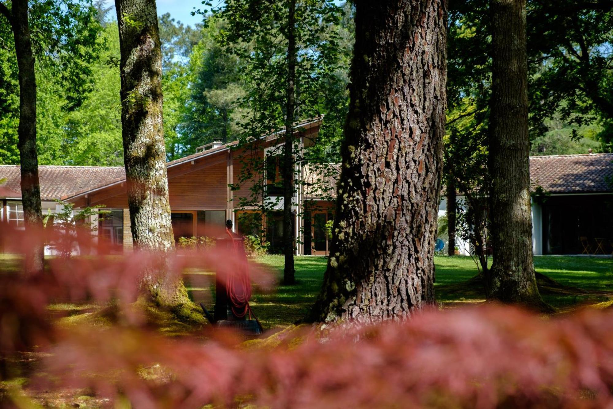 Bed and Breakfast Parc De L'Aiguade Saint-Paul-lès-Dax Exterior foto
