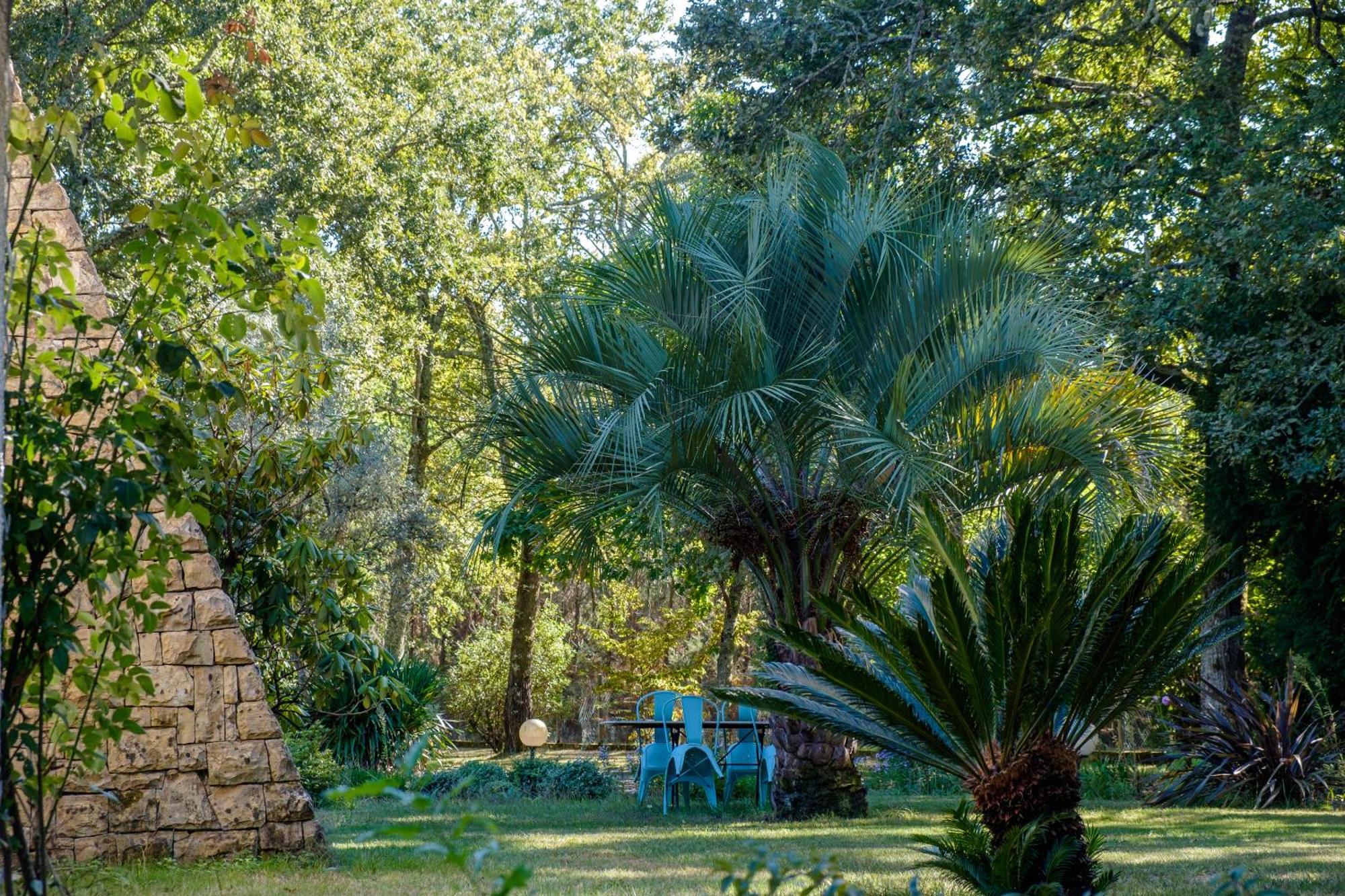 Bed and Breakfast Parc De L'Aiguade Saint-Paul-lès-Dax Exterior foto