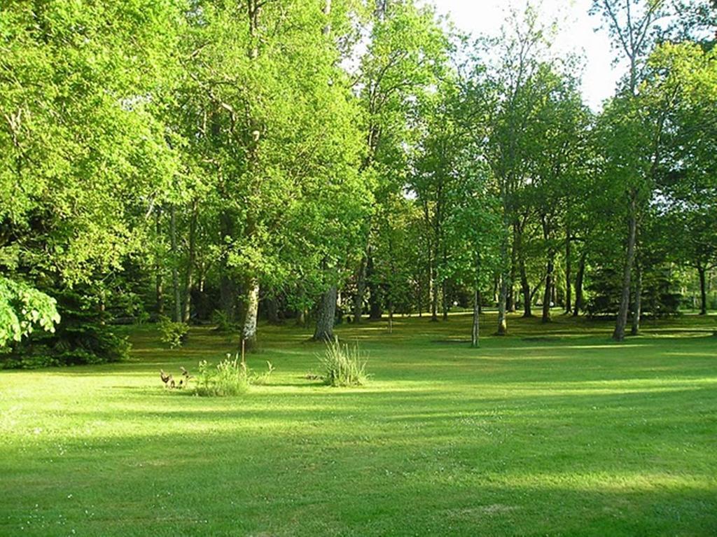 Bed and Breakfast Parc De L'Aiguade Saint-Paul-lès-Dax Zimmer foto